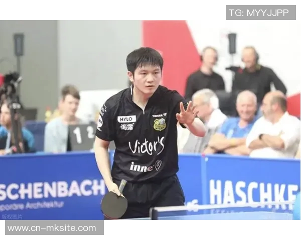 樊振东加盟德甲联赛后净收入预估分析及未来发展潜力探讨